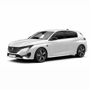 Peugeot Renting Simulador