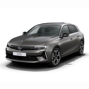 Opel Renting Simulador