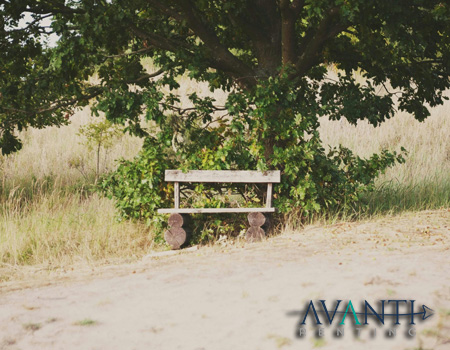 avanti sh cuad 49 | Avanti Renting