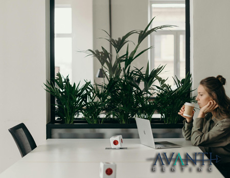 avanti sh cuad 87 | Avanti Renting