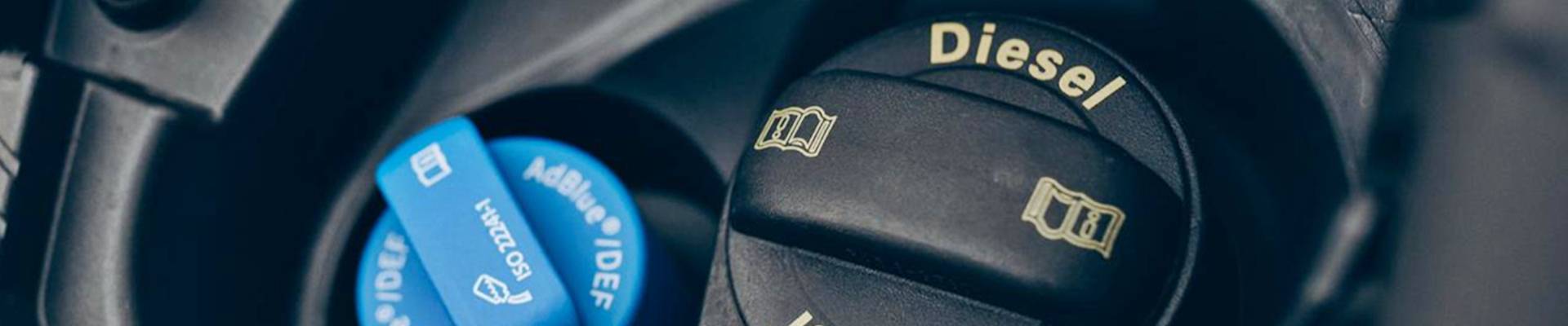 Diesel Azul R33 del Coche