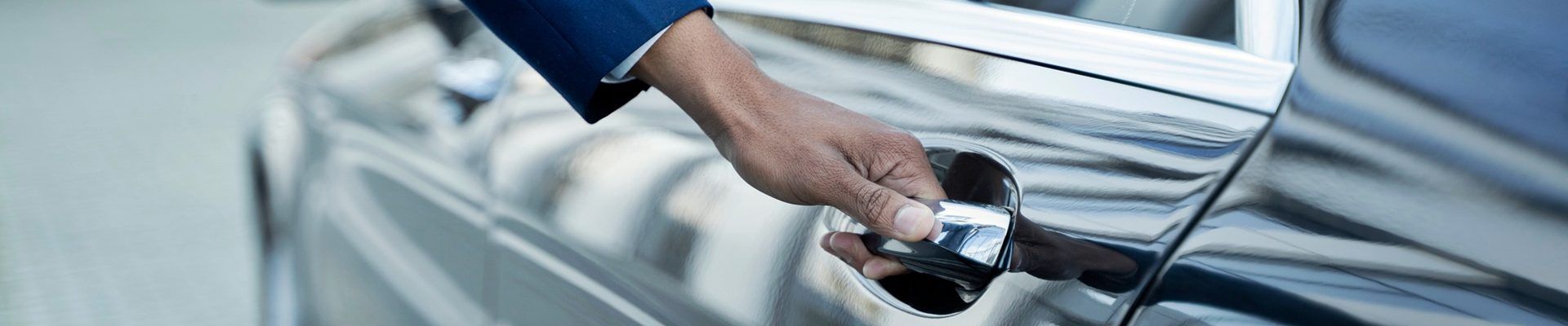 Puertas Y Porton del Coche