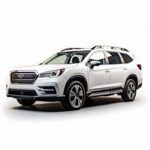 Leasing Guadalajara