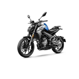 Renting Motos Grandes