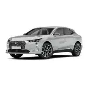 DS 4