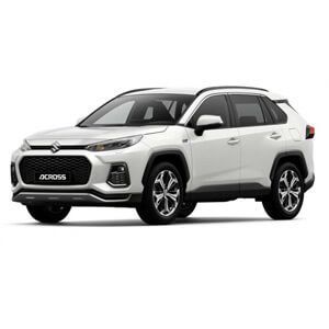 Suzuki Renting Simulador